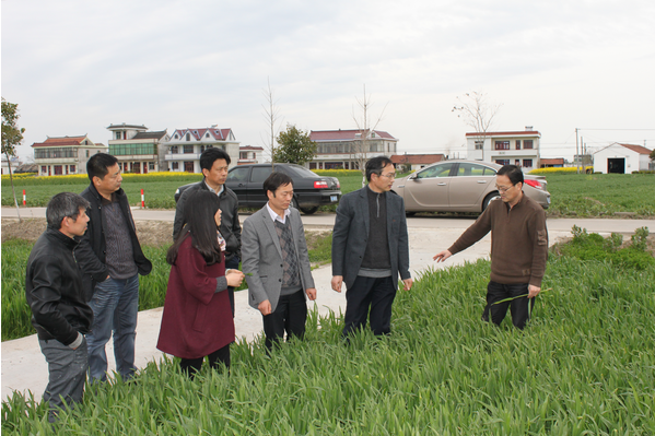 西亭镇人口_西亭镇同乐村(2)