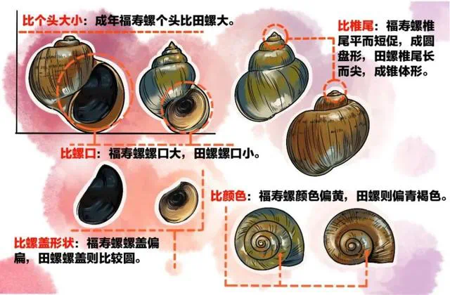 微信图片_20250714140019.png
