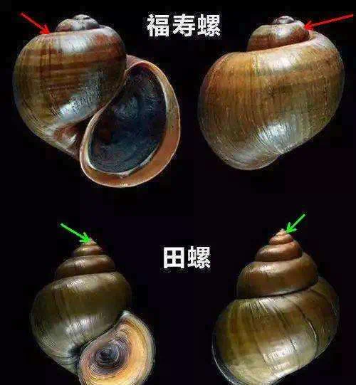 微信图片_20250714135933.png
