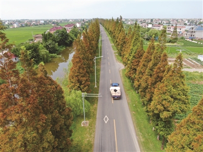 农村公路 许丛军摄.jpg