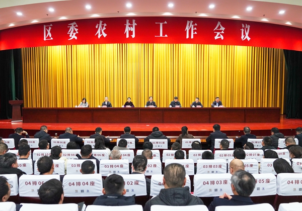 2月20日下午，区委召开农村工作会议。徐浩翔 摄 (1).jpg