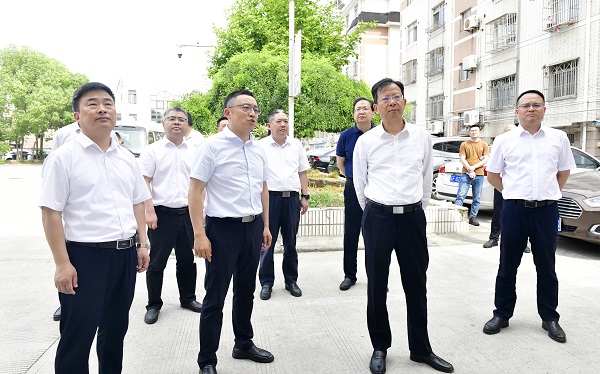 6月18日，市委常委、区委书记张建华带队督导群众身边不正之风和腐败问题集中整治工作。陈啸天 徐浩翔 摄.jpg