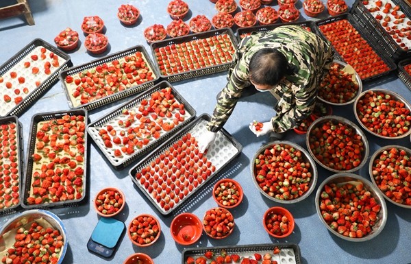 1.2726_副本.jpg 1.2726_副本.jpg