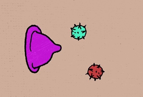 微信图片_2025-12-01_091353_924.jpg 微信图片_2025-12-01_091353_924.jpg