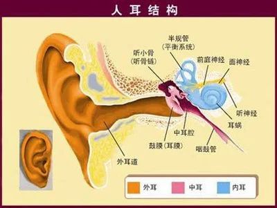 微信图片_20240304085729.jpg