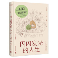 闪闪发光的人生.jpg